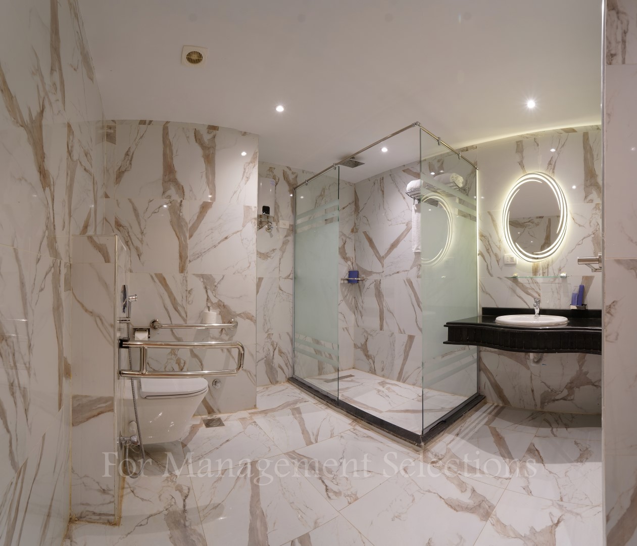 Suite Bathroom (Large)